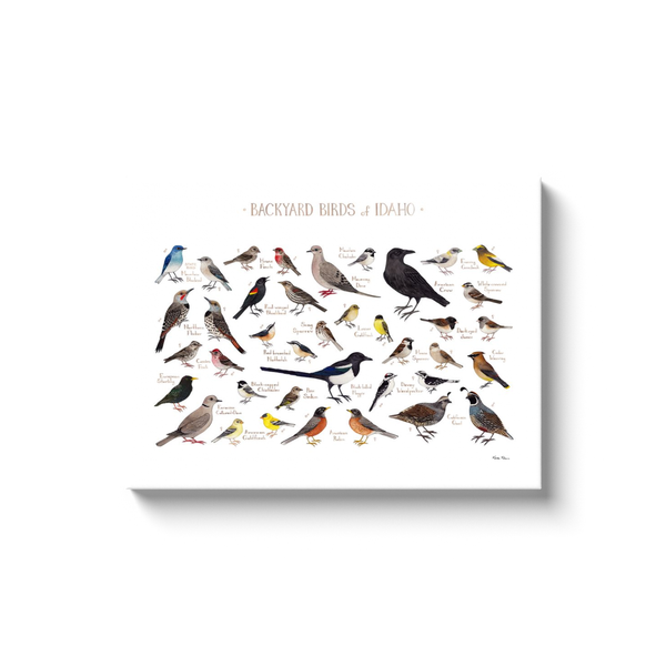 Idaho Backyard Birds Ready to Hang Canvas Print