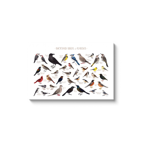 Kansas Backyard Birds Ready to Hang Canvas Print