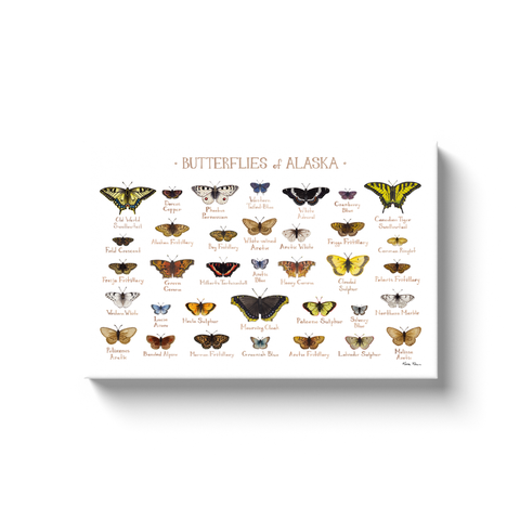 Butterfly Bouquet II Linen BW II Poster Print by Wild Apple Portfolio -  Item # VARPDX43012 - Posterazzi