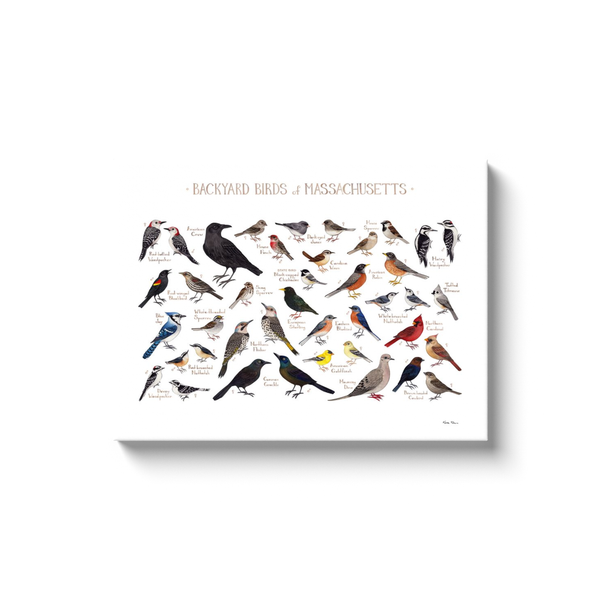 Massachusetts Backyard Birds Ready to Hang Canvas Print