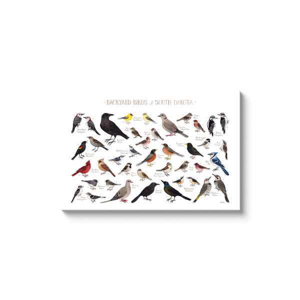 South Dakota Backyard Birds Ready to Hang Canvas Print