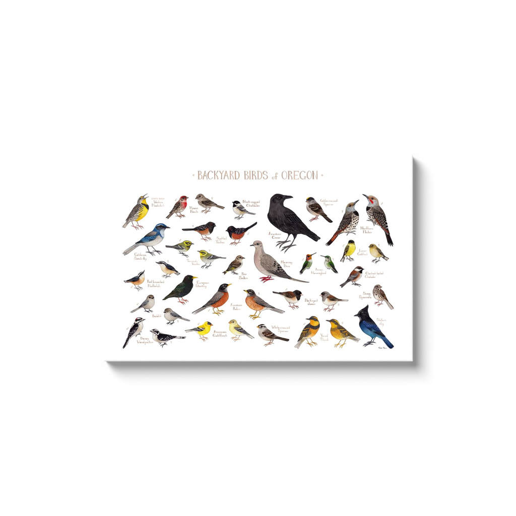 Backyard Birds (Eastern US) All-Over Print XS-XL Capri Leggings – Kate  Dolamore Art