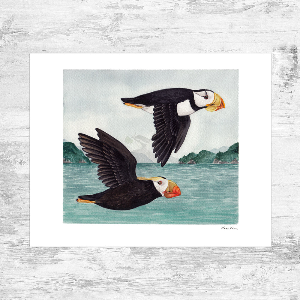 Puffins in Flight Art Print