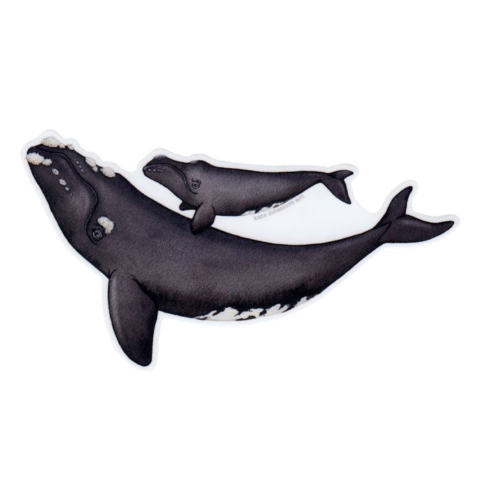 Right Whale with Baby Vinyl Sticker