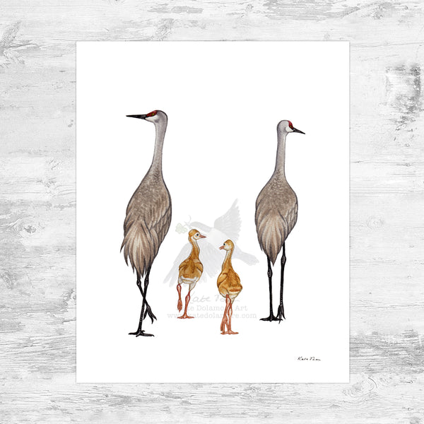 Sandhill Crane Family Art Print