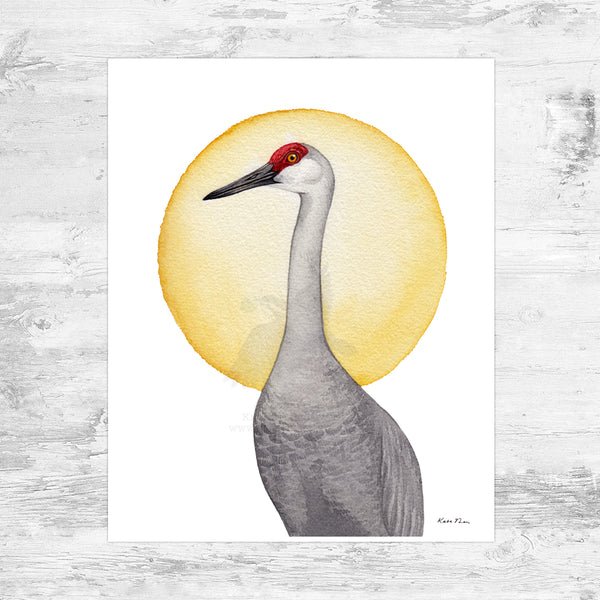 Sandhill Crane Portrait Art Print