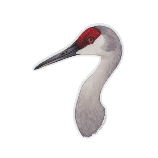 Sandhill Crane Portrait Vinyl Sticker