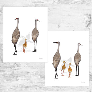 Sandhill Crane Family Art Print