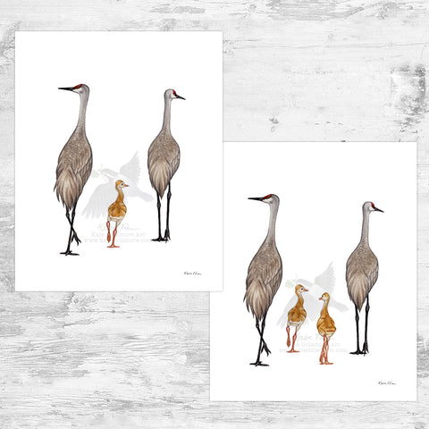 Sandhill Crane Family Art Print