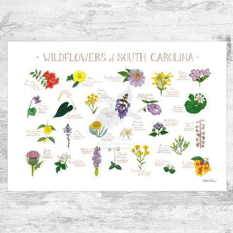 South Carolina Wildflowers Field Guide Art Print