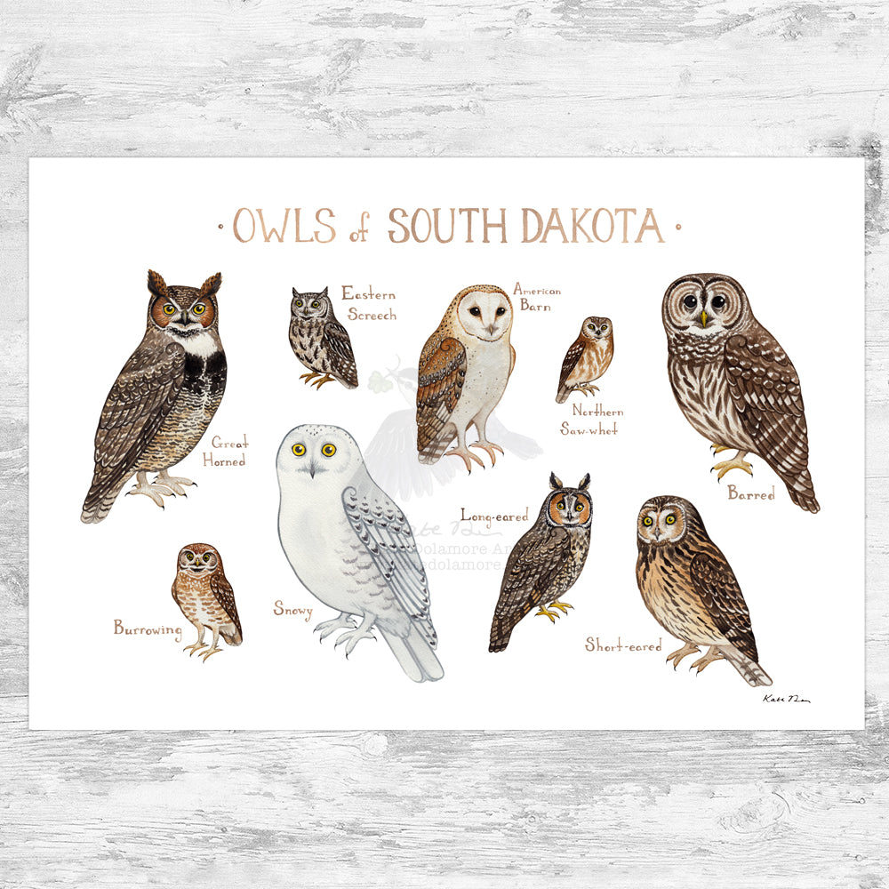 South Dakota Owls Field Guide Art Print