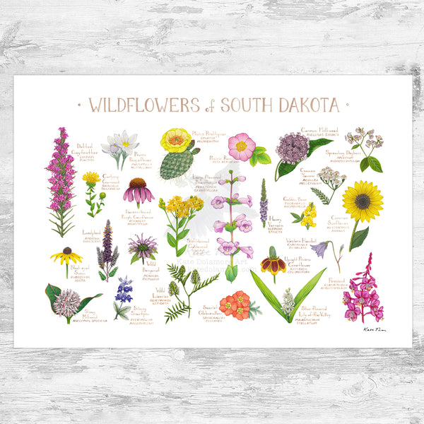 South Dakota Wildflowers Field Guide Art Print