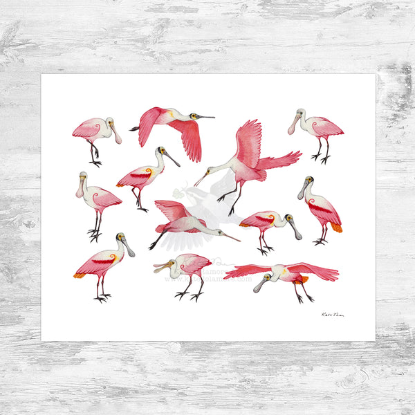 Roseate Spoonbill Art Print