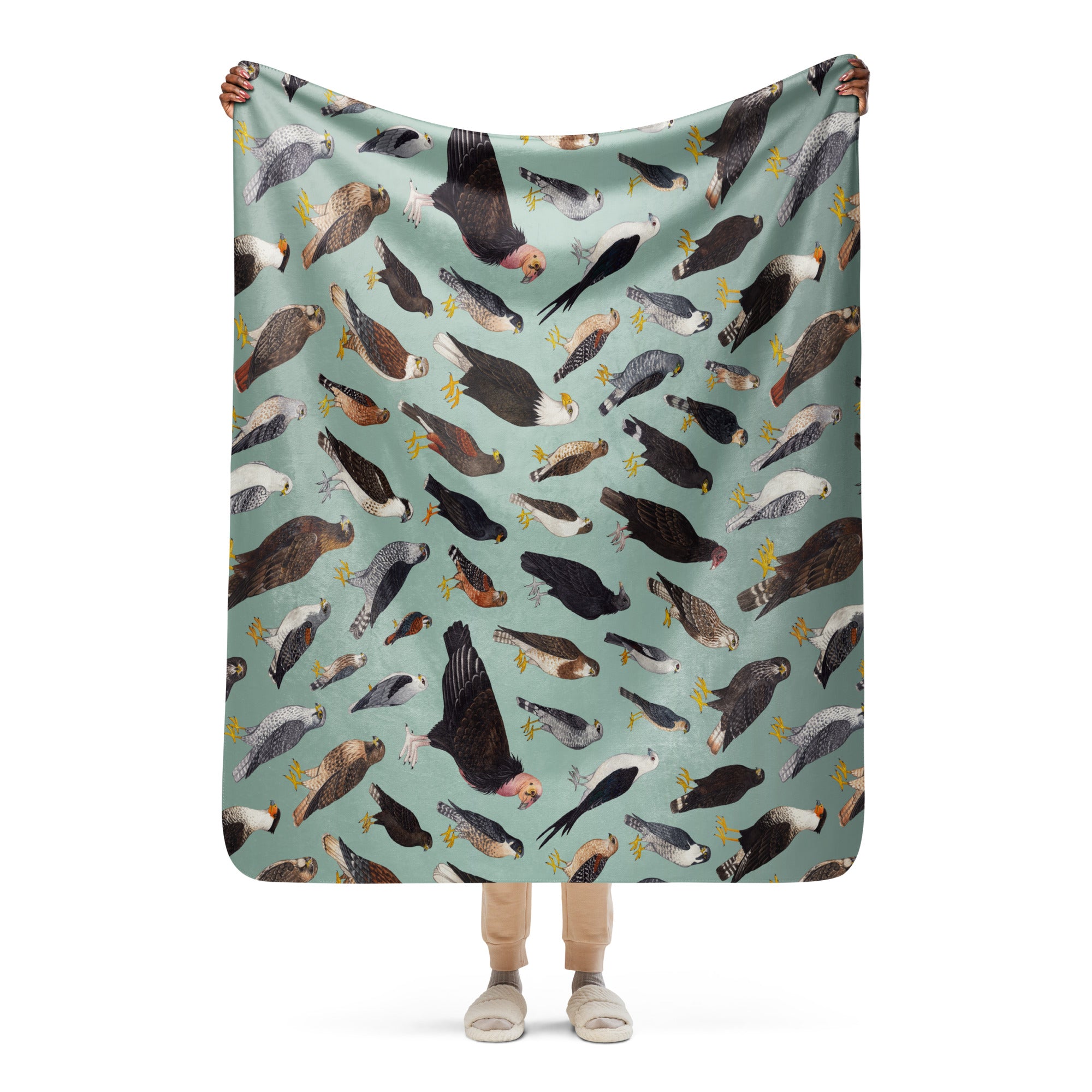 Raptors Sherpa Blanket (Horizontal)