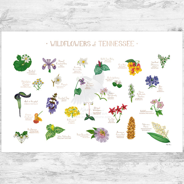 Tennessee Wildflowers Field Guide Art Print