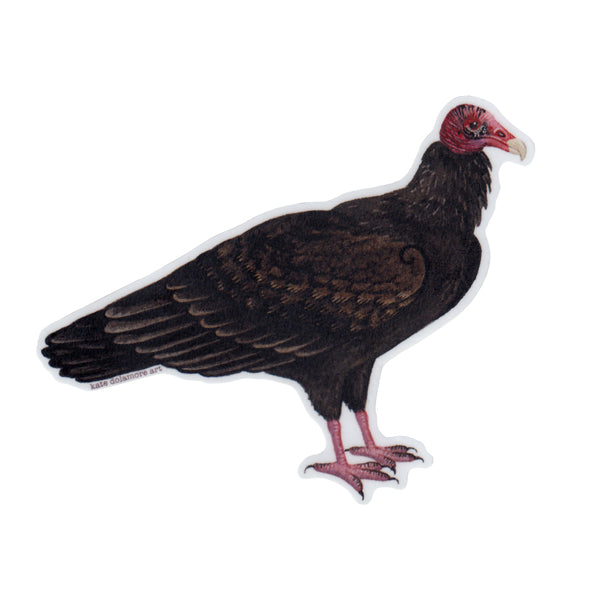 Turkey Vulture Vinyl Sticker