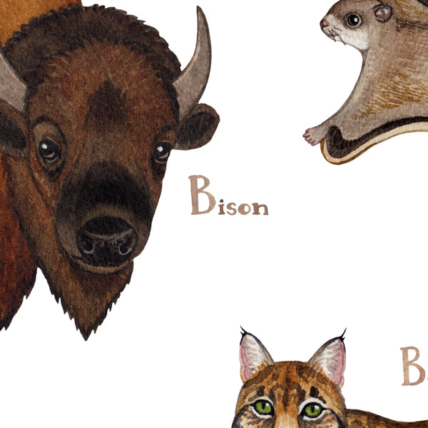 Utah Mammals Field Guide Art Print