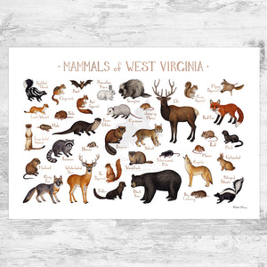 West Virginia Mammals Field Guide Art Print