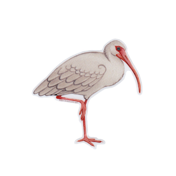 White Ibis Vinyl Sticker