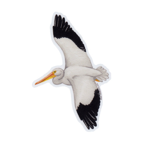 American White Pelican Vinyl Sticker