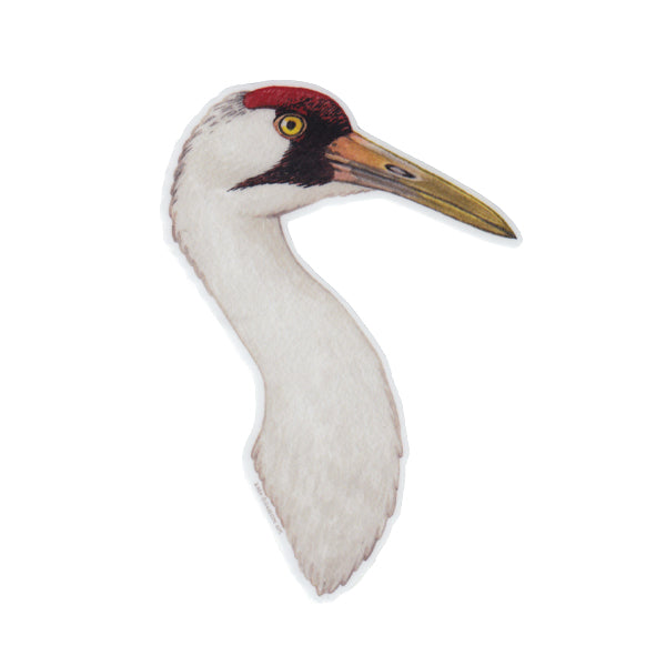 Whooping Crane Vinyl Sticker