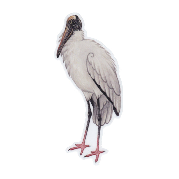 Wood Stork (floofed) Vinyl Sticker