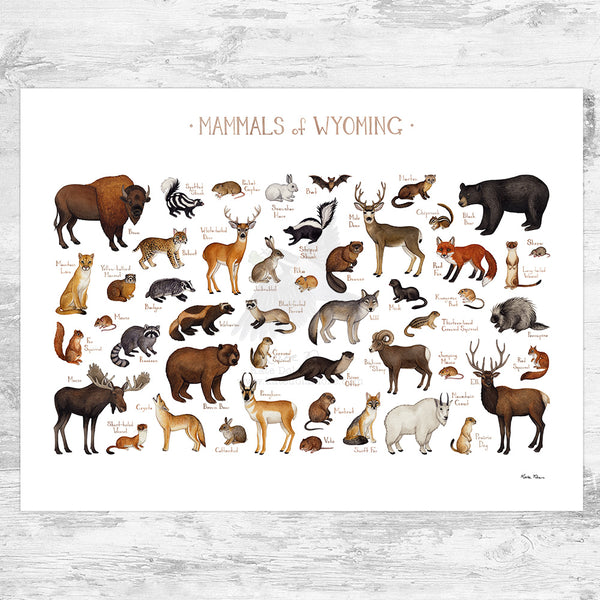 Wyoming Mammals Field Guide Art Print