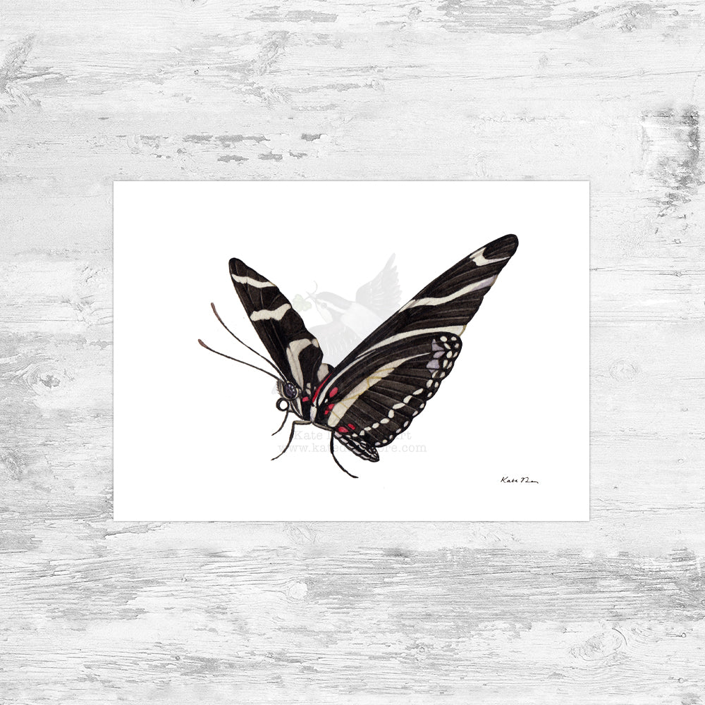 絵画 butterfly Cat & Butterfly | Watercolor demonstration 水彩画〜子猫と
