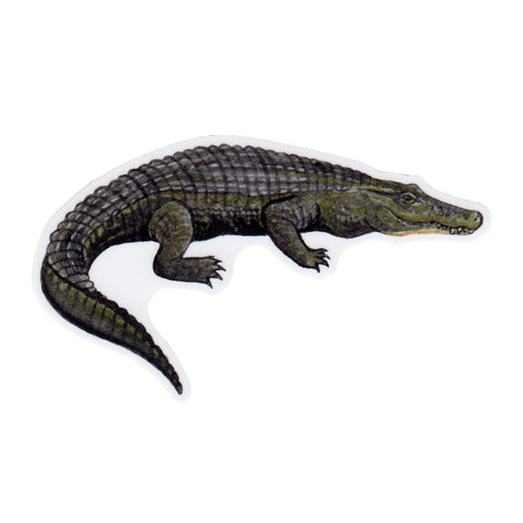 Alligator Vinyl Sticker