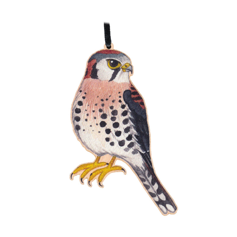 American Kestrel Ornament