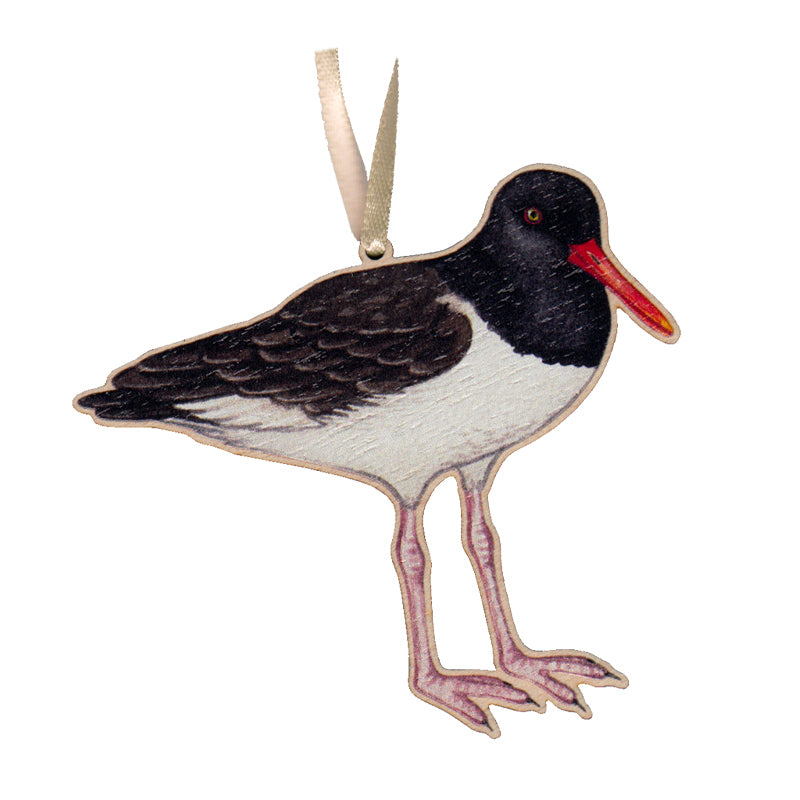 American Oystercatcher Ornament