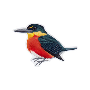 American Pygmy Kingfisher Vinyl Sticker