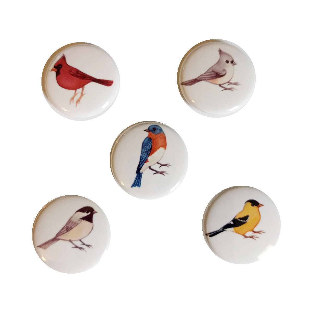 Songbirds Pin Set