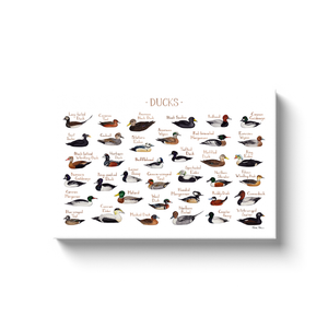 Ducks All-Over Print XS-XL Leggings – Kate Dolamore Art