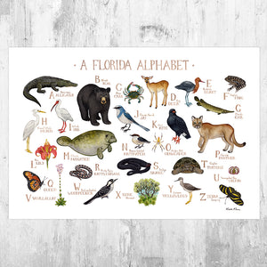 A Florida Alphabet Chart Art Print
