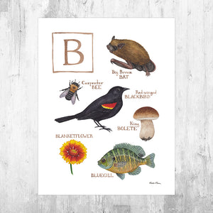 The Letter B Nature Art Print