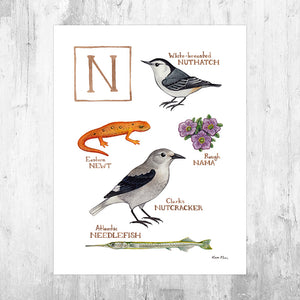 The Letter N Nature Art Print