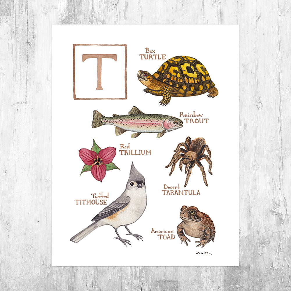 The Letter T Nature Art Print