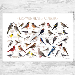 Alabama Backyard Birds Field Guide Art Print