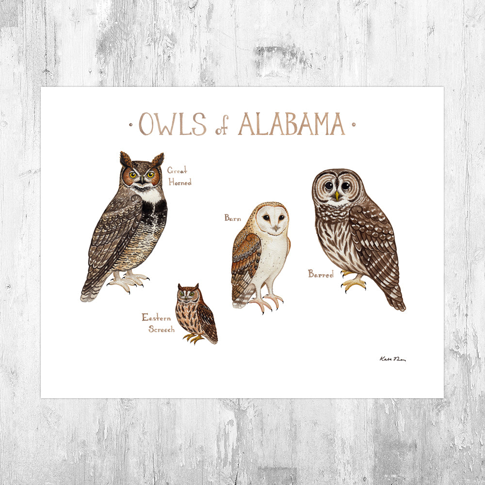 Alabama Owls Field Guide Art Print