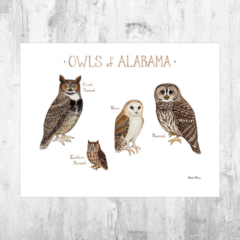Alabama Owls Field Guide Art Print