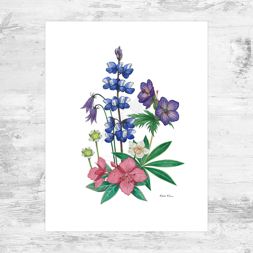 Alaska Wildflower Bouquet Art Print Kate (Valdez – Art Dolamore Edition)