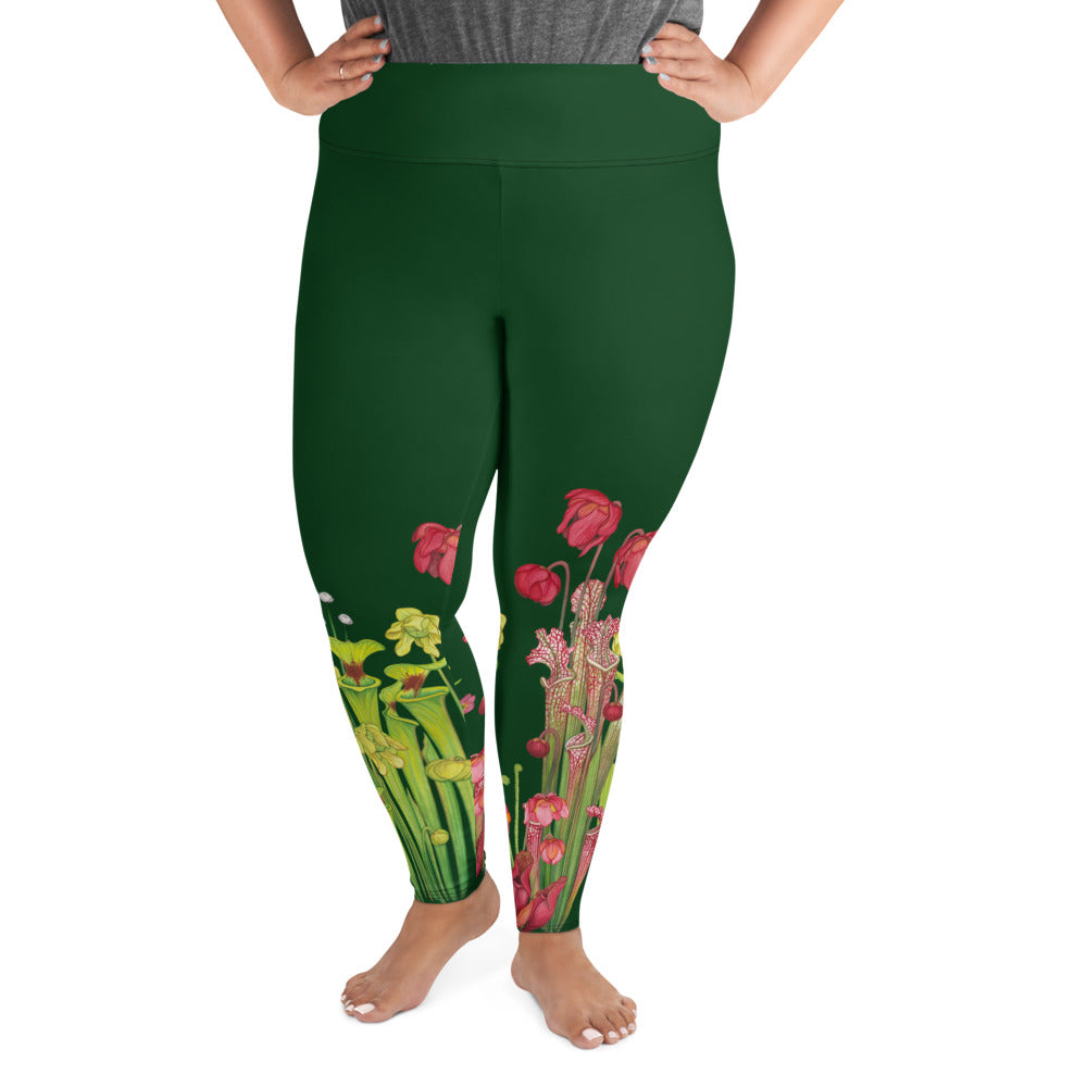 Antpittas All-Over Print XS-XL Leggings - Green – Kate Dolamore Art