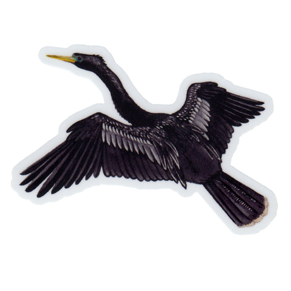 Anhinga Vinyl Sticker