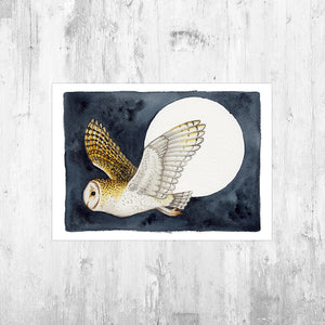Barn Owl in Flight Art Print