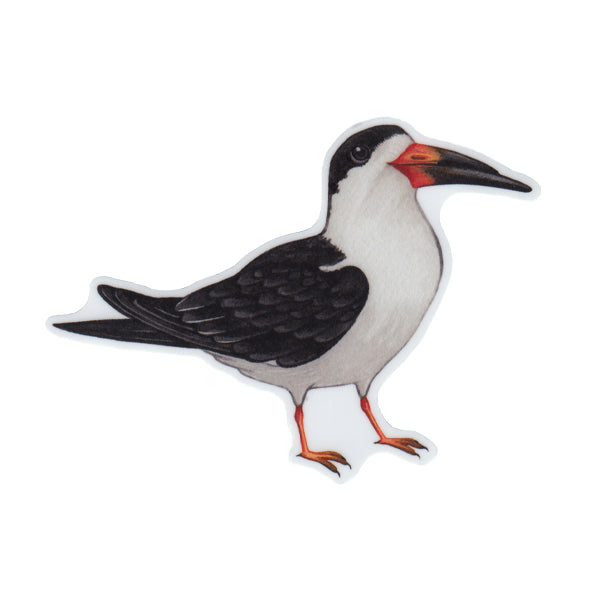 Black Skimmer Vinyl Sticker