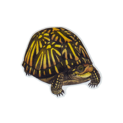 Florida Box Turtle Vinyl Sticker