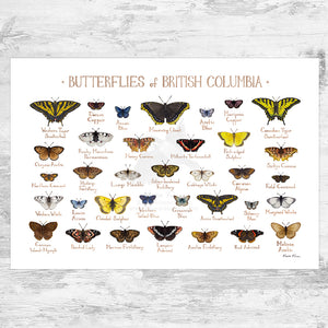 British Columbia Butterflies Field Guide Art Print