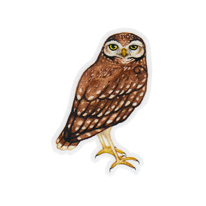 Burrowing Owl Sticker