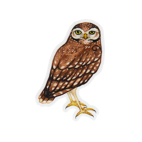 Burrowing Owl Sticker